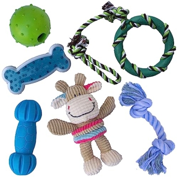Rocket & Rex 6-Pack Dog Chew Toys | Perfect for Small and Medium Dogs | Interactive Tug, Plush & Squ...