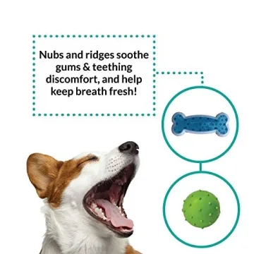 Rocket & Rex 6-Pack Puppy Chew Toys for Small Dogs