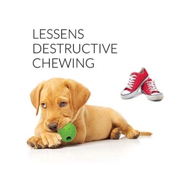 Rocket & Rex 6-Pack Puppy Chew Toys for Small Dogs