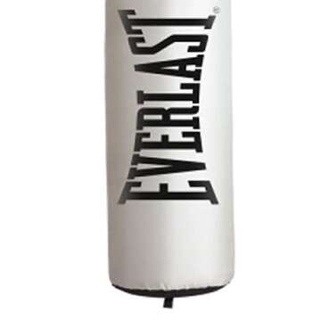 Everlast NevaTear 60 lb Punching Bag for Home Gym