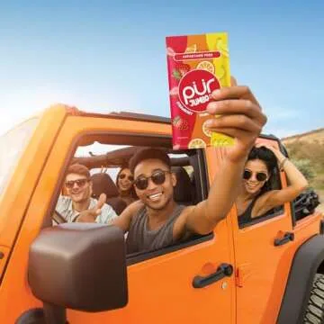 PUR Jumbo Gum | Gluten-Free Chewing Gum with Xylitol