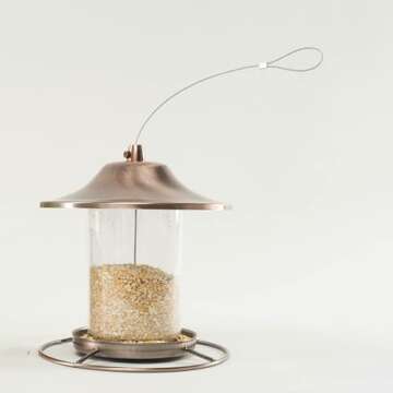 Wagner's 18542 Cracked Corn Wild Bird Food - 10 Pound Bag