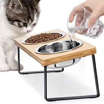 Elevated Cat Bowls for Food and Water - Loplurea 15° Tilted Raised Stainless Steel Cat Food Bowl wi...