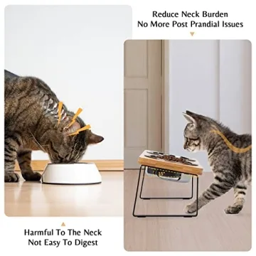 Elevated Cat Bowls for Healthy Eating Experience