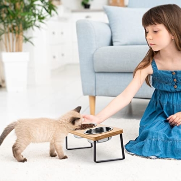 Elevated Cat Bowls for Healthy Eating Experience