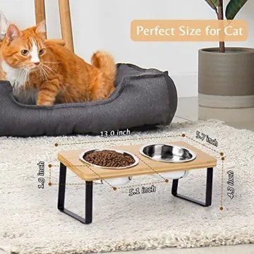 Elevated Cat Bowls for Healthy Eating Experience