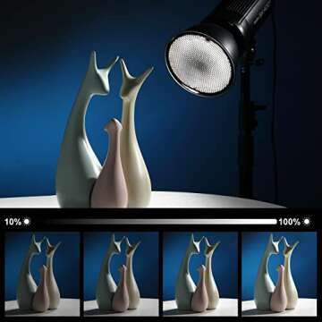 Godox SK400II 400W Studio Strobe Flash 2Pack Kit 2.4G Wireless X System Bowens Mount 5600±200K with Standard Reflector,BD-04,Softbox,Light Stand,for Photography