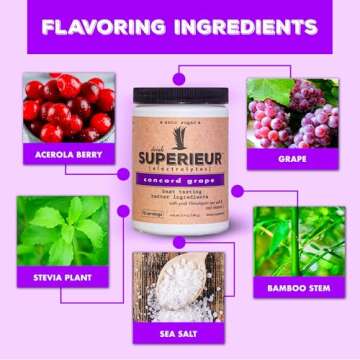 Superieur Electrolytes – Plant Based Electrolyte Supplement w/Sea Minerals for Hydration & Recovery–Keto Friendly, Non-GMO, Zero Sugar, Vegan Healthy Sports Drink Powder – Concord Grape (70 Servings)