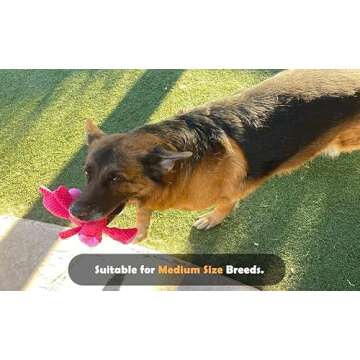 Jalousie Multipack Dog Squeaky Toys Strong Almost Indestructible, with Added Liner for Longer Play Dog Chew Toys (Medium to Large Breeds, 5 Pack Checks for Aggressive Chewers)