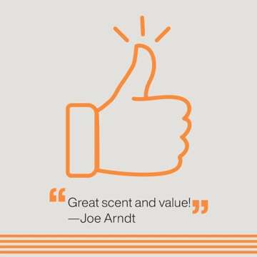 Redken Brews Daily Shampoo For Men | Lightweight Hydrating Hair Cleanser | Add Moisture and Shine to Dry Hair | For All Men's Hair Types