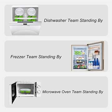 Exclusivo Bolsillo Foldable Bento Lunch Box (1pcs) for Women Men With Spork & Lid BPA Free,Collapsible and Leakproof Space Saving Food Storage Containers with 3 Compartments - Green