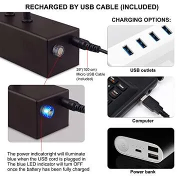 FUNCHDAY Picture Light,5000mAh Battery Operated Picture Light for Wall,Wireless Remote Painting Light with Timer and Dimmable,16”Metal Art Light for Display,Artwork,Portrait,Gallery-Bronze