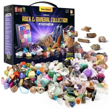 Rock Collection for Kids - 250+ Unique Minerals, Fossils, & Crystals for STEM Learning