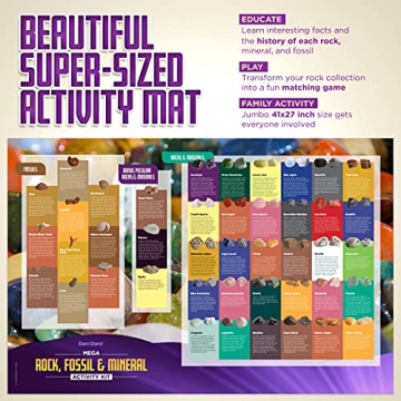 Rock Collection for Kids - 250+ Unique Geology Gems