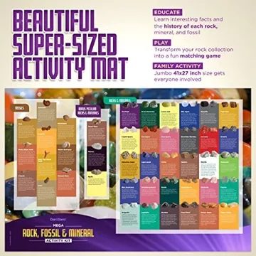 Rock Collection for Kids - 250+ Unique Geology Gems