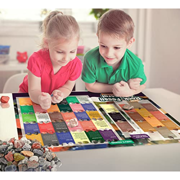 Rock Collection for Kids - 250+ Unique Geology Gems