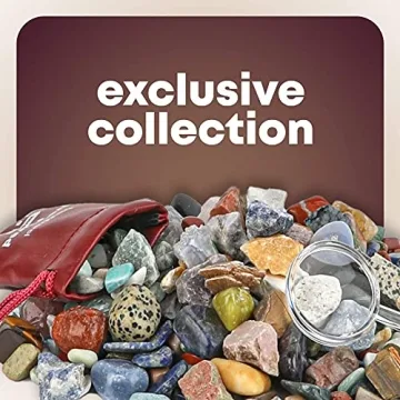 Rock Collection for Kids - 250+ Unique Geology Gems