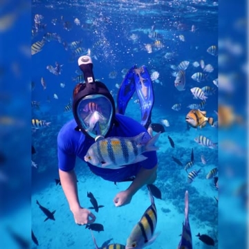 Aleoron Foldable Full Face Snorkel Mask for Adults