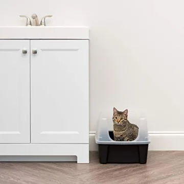 Large Cat Litter Box with Scatter Shield & Scoop
