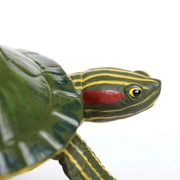 Realistic Red-Eared Slider Turtle Figurine for Kids