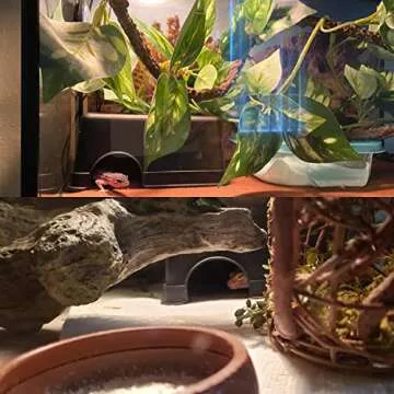 Reptile Hide, Ball Python Snake Hide Feel Secure and Safe Snake Cage Accessories Plastic Reptile Hide Box (Large)