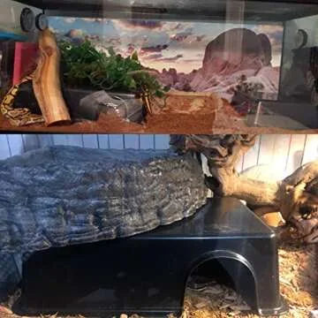 Reptile Hide, Ball Python Snake Hide Feel Secure and Safe Snake Cage Accessories Plastic Reptile Hide Box (Large)