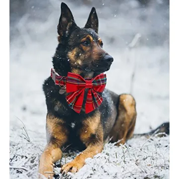 DOGWONG Christmas Dog Collar with Removable Bow Tie