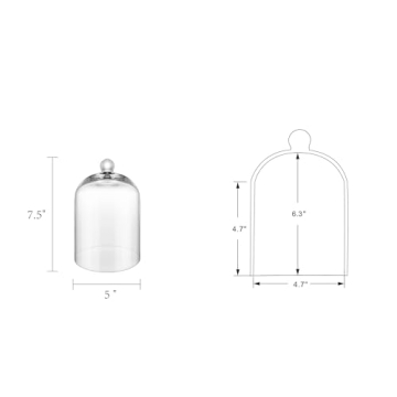 Elegant 7.5" Handmade Glass Cloche for Plants and Decor