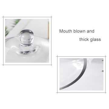 Elegant 7.5" Handmade Glass Cloche for Plants and Decor
