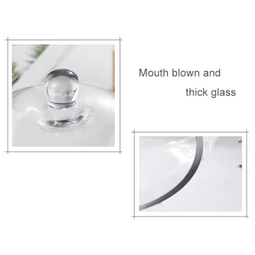 Elegant 7.5" Handmade Glass Cloche for Plants and Decor
