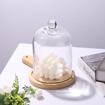 Elegant 7.5" Handmade Glass Cloche for Plants and Decor