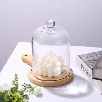 Elegant 7.5" Handmade Glass Cloche for Plants and Decor