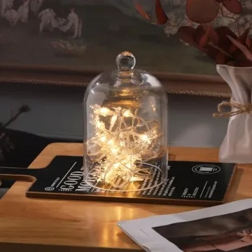 Elegant 7.5" Handmade Glass Cloche for Plants and Decor