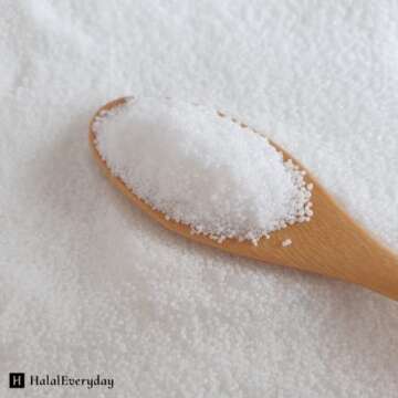 Stearic Acid 1lb Cosmetic Grade (1lb)L8