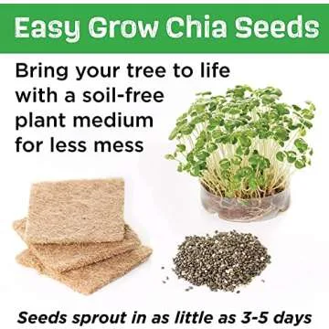 Treehouse Craft Kit for Creative Kids | Build & Grow Fun