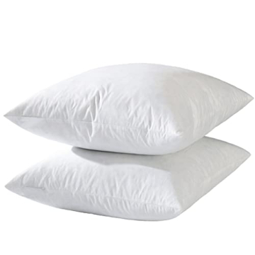 20x20 Decorative Throw Pillow Inserts Set of 2