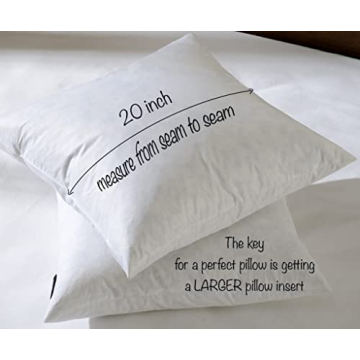 20x20 Decorative Throw Pillow Inserts Set of 2