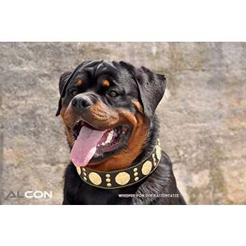 Bestia Maximus Genuine Leather Dog Collar, Large Breeds, Cane Corso, Rottweiler, Bullmastiff, Dogo, Quality Dog Collar, 100% Leather, Studded, L- XXL Size, 2.5 inch Wide. Padded. Made in Europe!