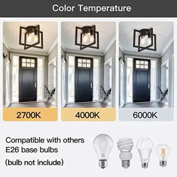 ZGLAOJT 3-Lights Ceiling Light Fixture,Industrial Semi Flush Mount Chandelier,Ceiling Lighting for Kitchen Living Room Bedroom Farmhouse Hallway Foyer