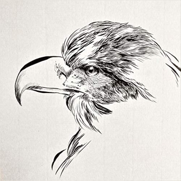 Kuretake Fude Brush Pen with 3 Cartridges for Calligraphy