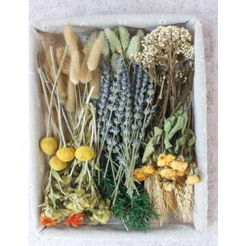 DIY Natural Dried Flower Set, Bulk Dried Flowers, Dried Flowers with Stems, Handmade Dried Flowers I...