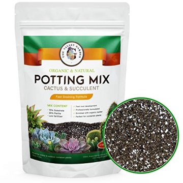 The Valley Garden Organic Cactus Soil for Thriving Plants