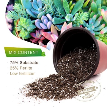 The Valley Garden Organic Cactus Soil for Thriving Plants