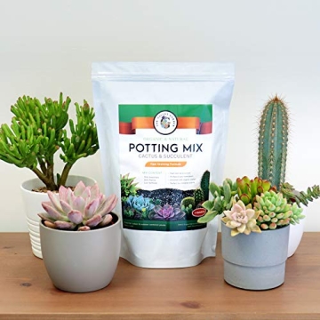 The Valley Garden Organic Cactus Soil for Thriving Plants