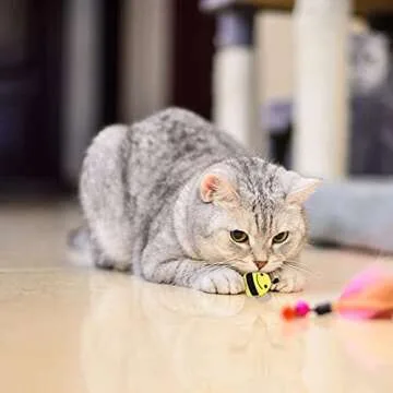 POPETPOP Cat Catnip Toys- 5pcs Catnip Kitten Toys Bee Shaped Cat Interactive Toy Pet Catnip Teeth Cleaning Chew Toy for Cats