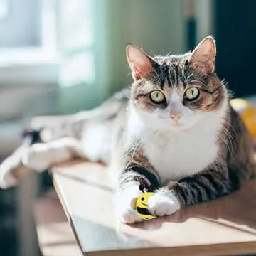 POPETPOP Cat Catnip Toys- 5pcs Catnip Kitten Toys Bee Shaped Cat Interactive Toy Pet Catnip Teeth Cleaning Chew Toy for Cats