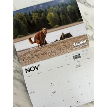 Pooping Pooches White Elephant Gag Gift Calendar