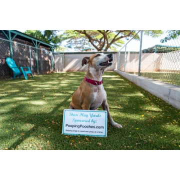 Pooping Pooches White Elephant Gag Gift Calendar