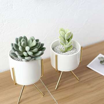 Plant Stand for Desk Indoor, Mid Century Flower Pot Holder Small Decorative Mini Cactus Artificial Plants Container for House, Garden & Patio Office and Bedroom (Gold)