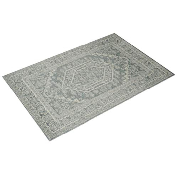 SAFAVIEH Adirondack Area Rug - Non-Shedding & Durable